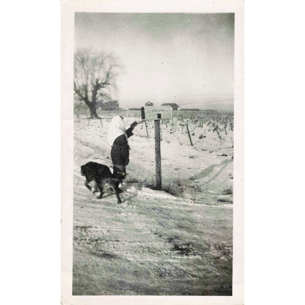 Vtg 1940s-50s B&W Photo Rural Winter Scene Mailbox Dog Snapshot - Picture 1 of 2